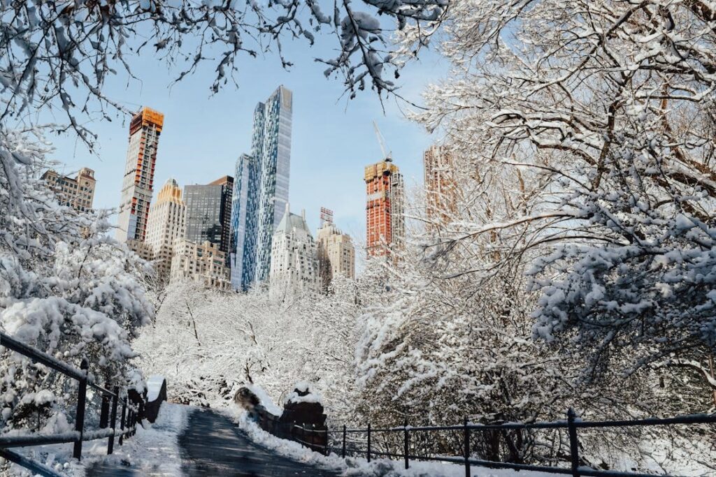 Découvrez New York en hiver, entre magie des fêtes, paysages enneigés et ambiance féerique dans toute la ville.